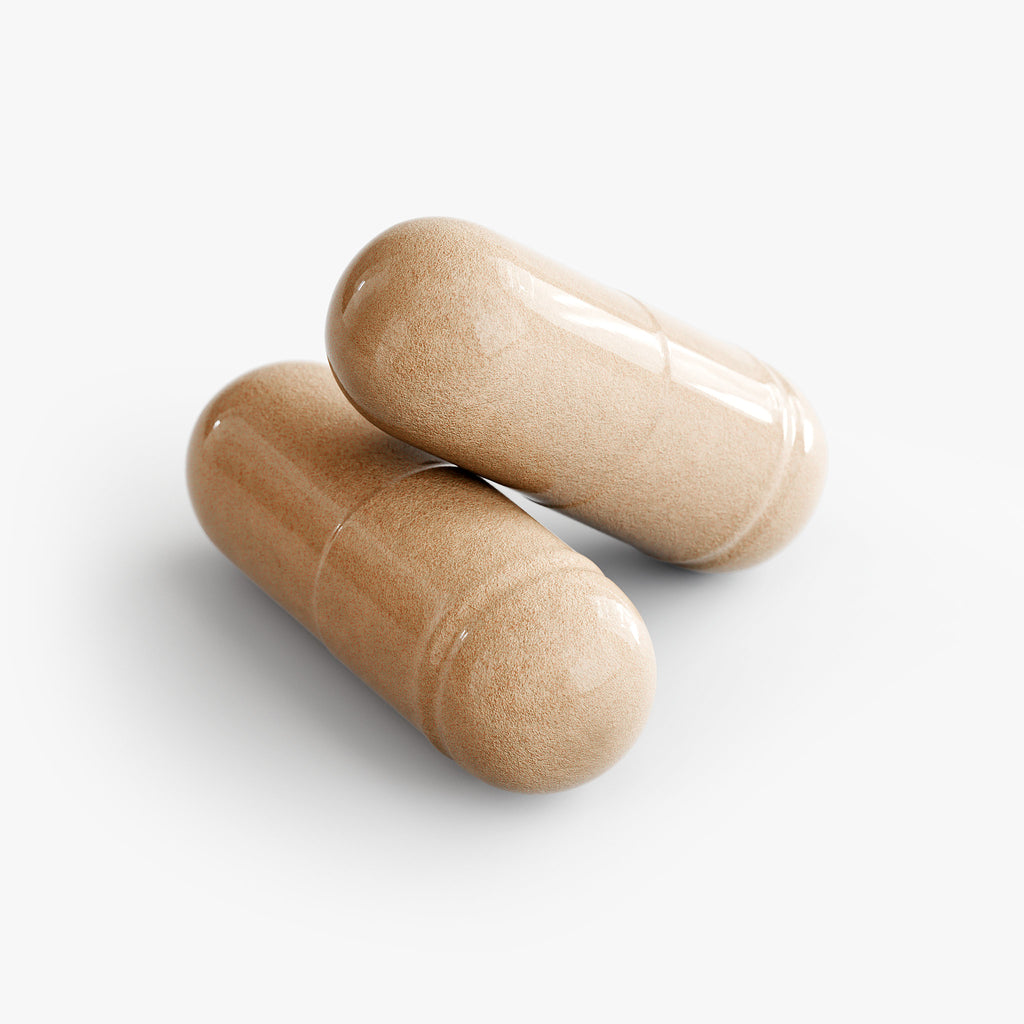 Rapha Mushroom Complex 10 X
